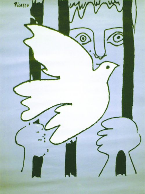 colombepicasso2.jpg